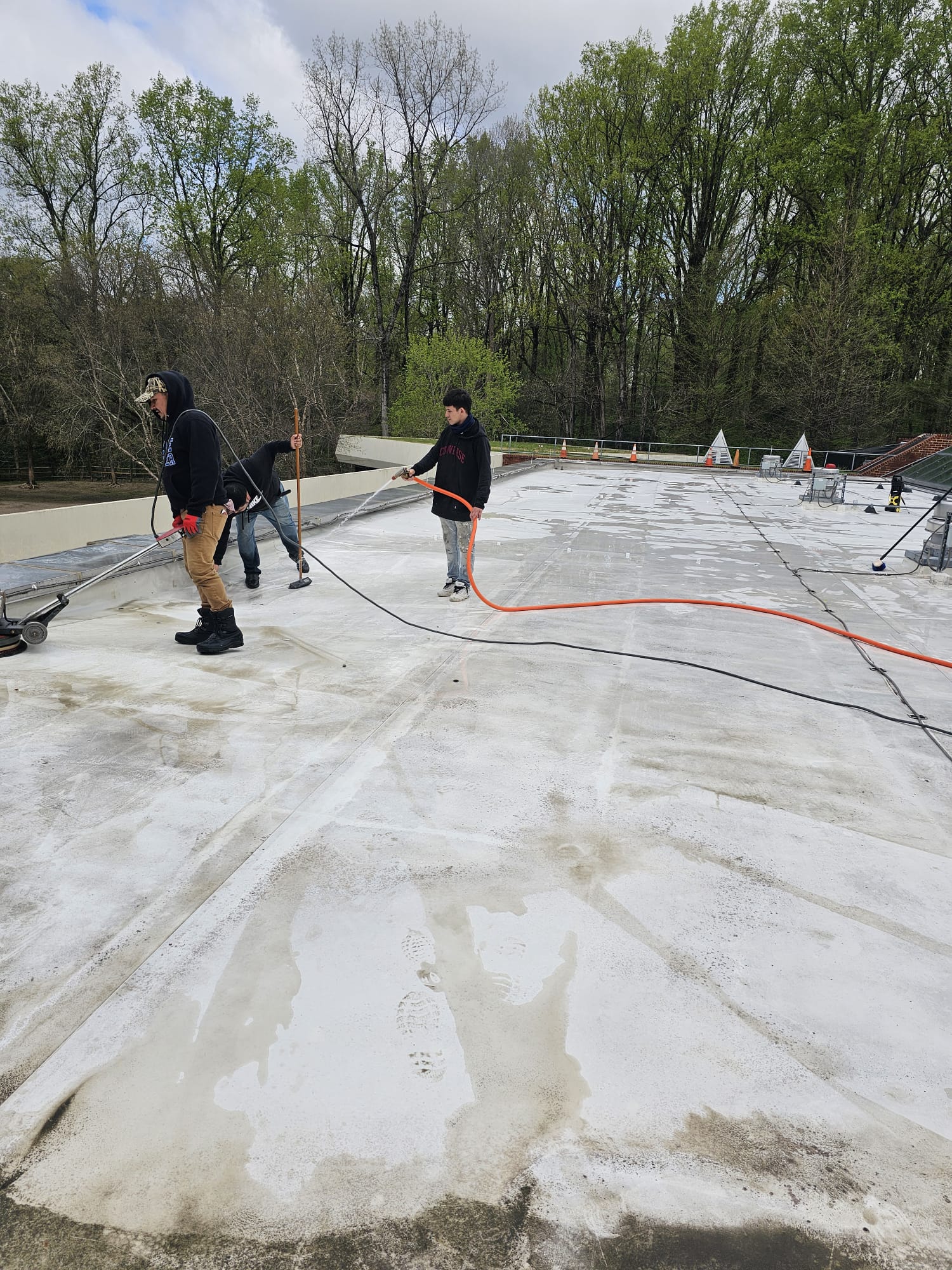 Specialized Cleaning